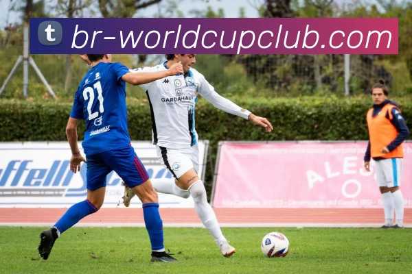 世俱杯线上平台APP 封面图